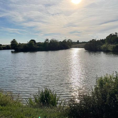 Confortable Ville A Deux Pas De Toulouse Tournefeuille Bagian luar foto