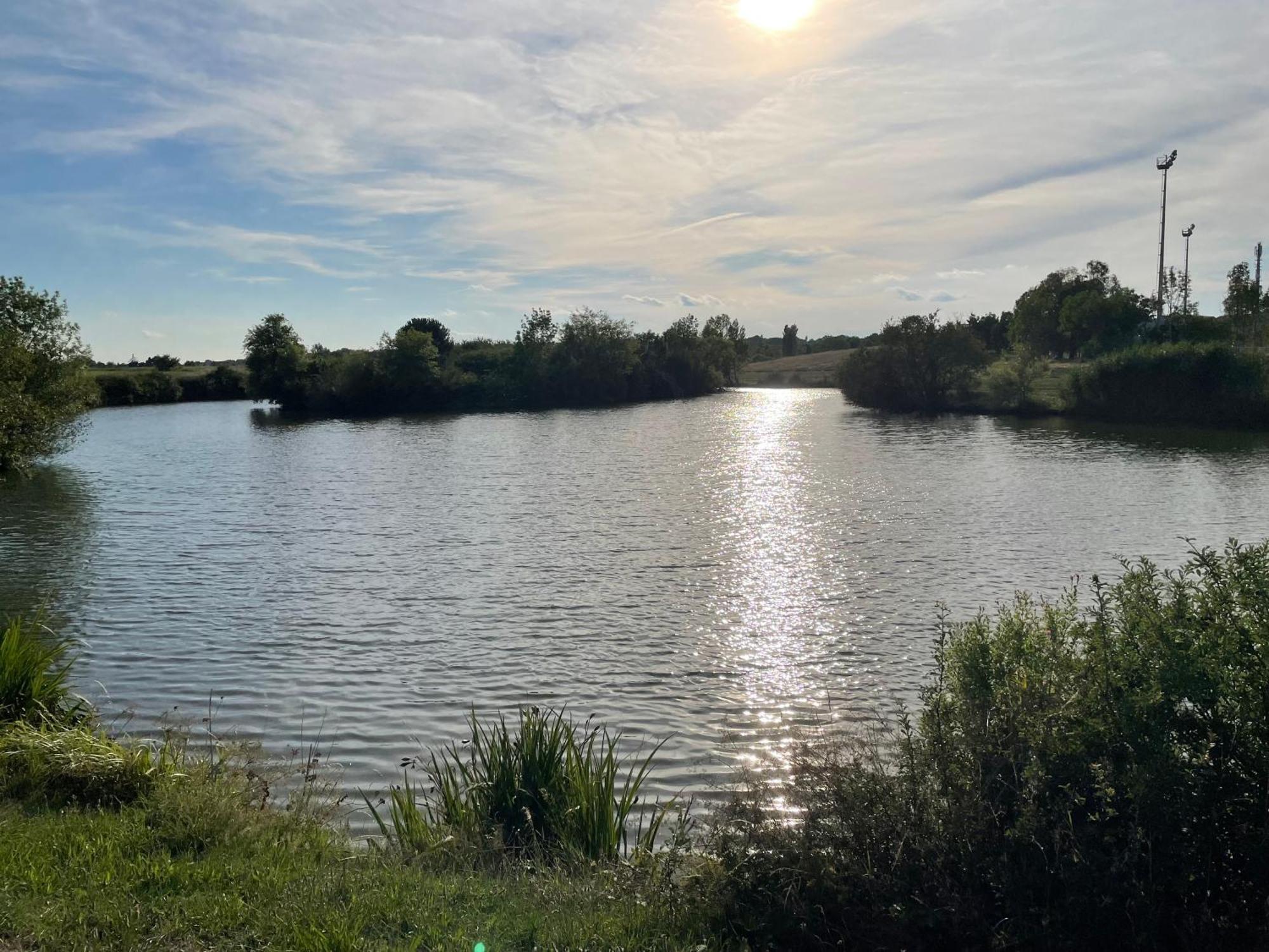 Confortable Ville A Deux Pas De Toulouse Tournefeuille Bagian luar foto