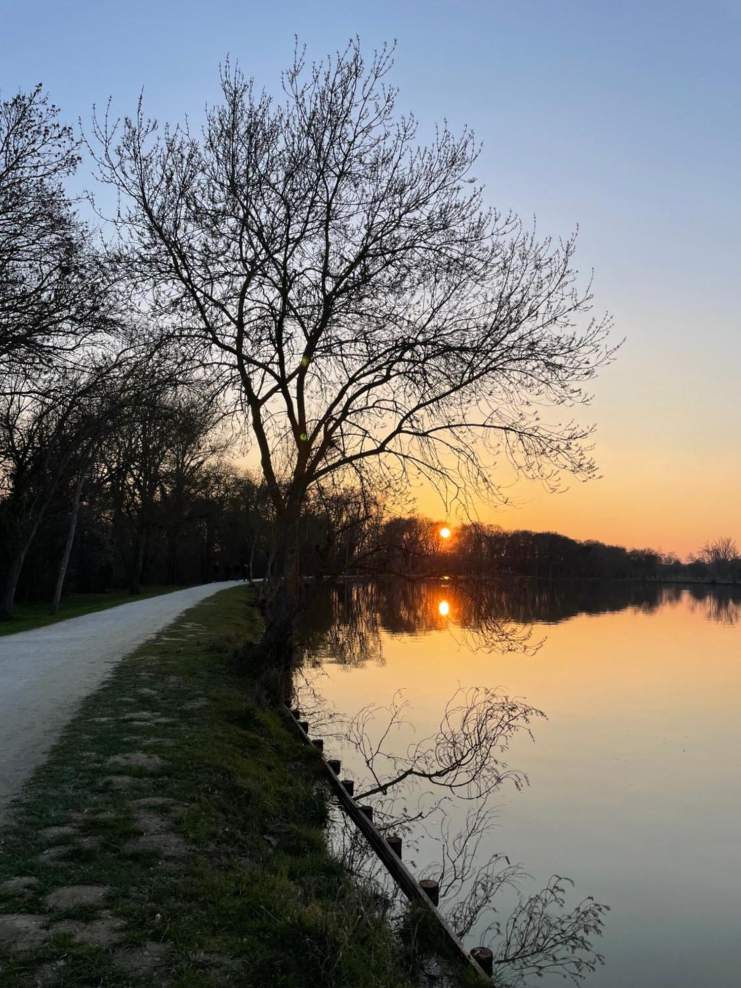 Confortable Ville A Deux Pas De Toulouse Tournefeuille Bagian luar foto